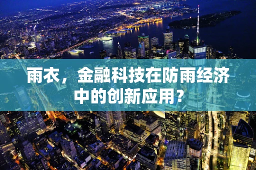 雨衣，金融科技在防雨经济中的创新应用？