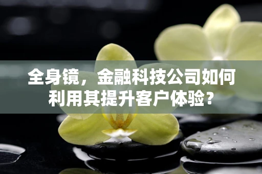 全身镜，金融科技公司如何利用其提升客户体验？