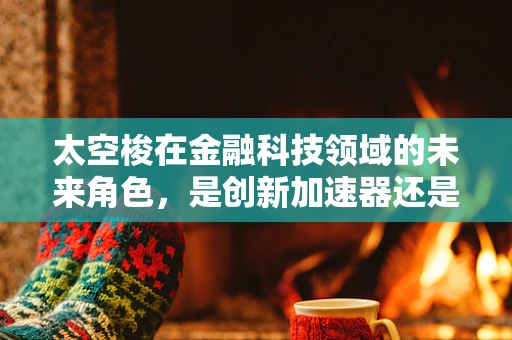太空梭在金融科技领域的未来角色，是创新加速器还是数据新矿场？