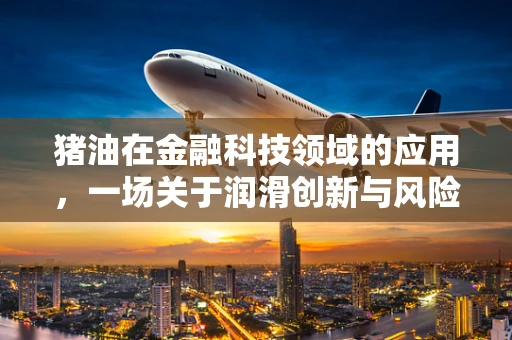 猪油在金融科技领域的应用，一场关于润滑创新与风险控制的探索