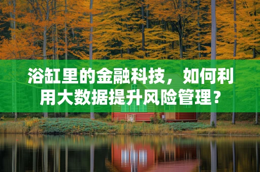 浴缸里的金融科技，如何利用大数据提升风险管理？