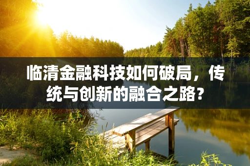 临清金融科技如何破局，传统与创新的融合之路？