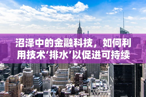 沼泽中的金融科技，如何利用技术‘排水’以促进可持续发展？