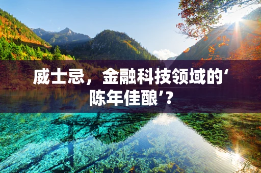 威士忌，金融科技领域的‘陈年佳酿’？
