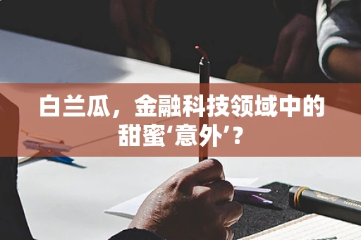 白兰瓜，金融科技领域中的甜蜜‘意外’？