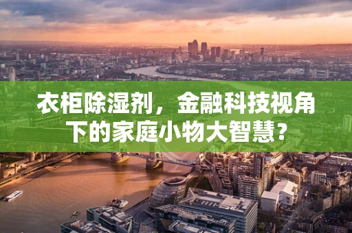 衣柜除湿剂，金融科技视角下的家庭小物大智慧？