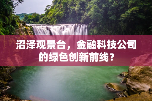 沼泽观景台，金融科技公司的绿色创新前线？