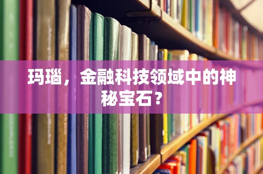 玛瑙，金融科技领域中的神秘宝石？