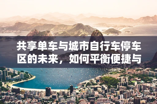 共享单车与城市自行车停车区的未来，如何平衡便捷与秩序？