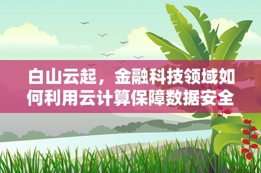 白山云起，金融科技领域如何利用云计算保障数据安全？