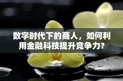 数字时代下的商人，如何利用金融科技提升竞争力？