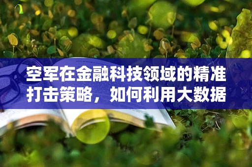 空军在金融科技领域的精准打击策略，如何利用大数据实现高效营销？