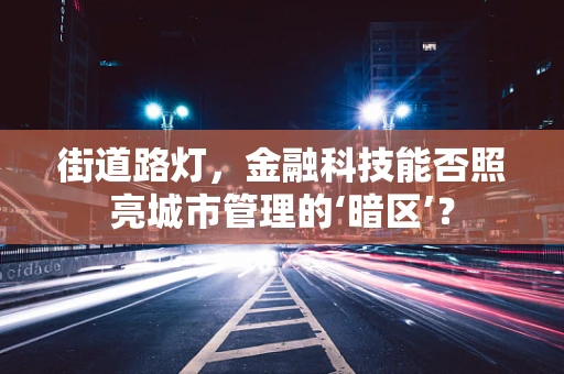 街道路灯，金融科技能否照亮城市管理的‘暗区’？
