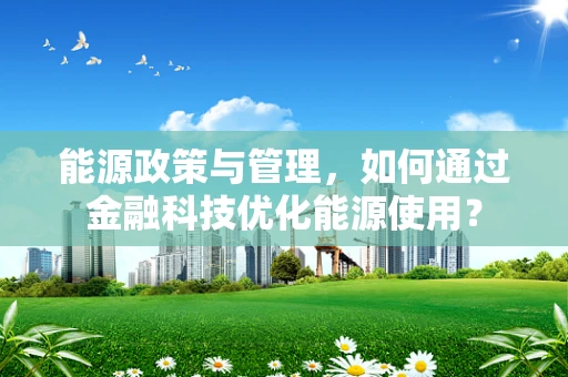 能源政策与管理，如何通过金融科技优化能源使用？