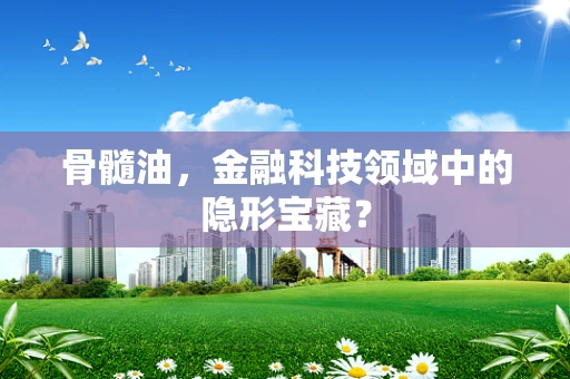 骨髓油，金融科技领域中的隐形宝藏？