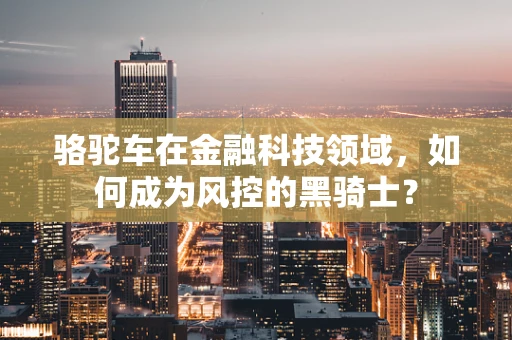 骆驼车在金融科技领域，如何成为风控的黑骑士？