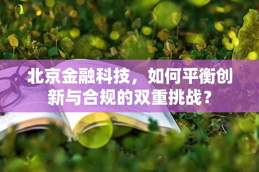 北京金融科技，如何平衡创新与合规的双重挑战？
