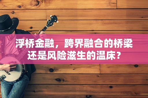 浮桥金融，跨界融合的桥梁还是风险滋生的温床？