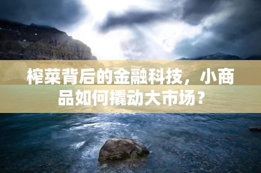 榨菜背后的金融科技，小商品如何撬动大市场？