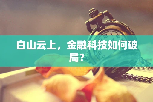 白山云上，金融科技如何破局？