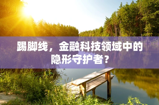 踢脚线，金融科技领域中的隐形守护者？