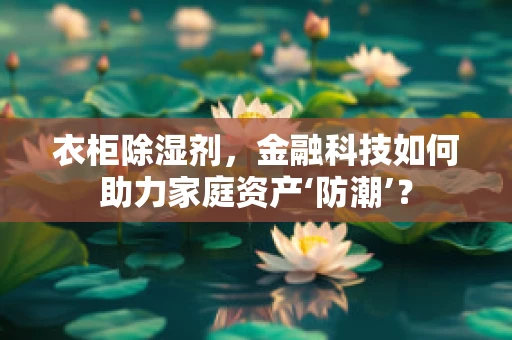 衣柜除湿剂，金融科技如何助力家庭资产‘防潮’？