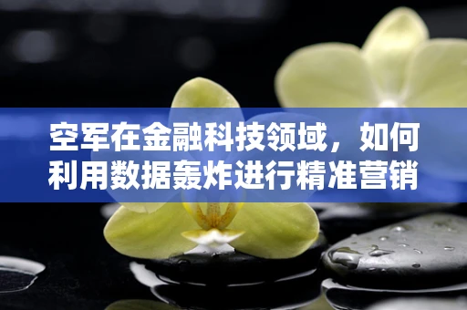 空军在金融科技领域，如何利用数据轰炸进行精准营销？