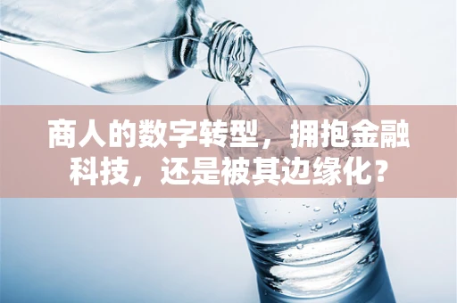 商人的数字转型，拥抱金融科技，还是被其边缘化？