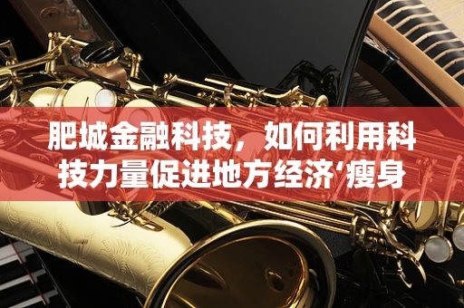 肥城金融科技，如何利用科技力量促进地方经济‘瘦身’增长？