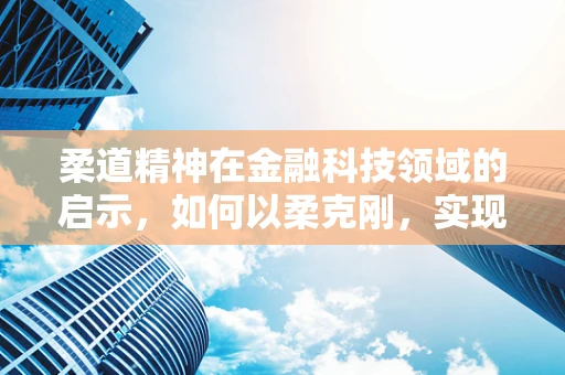 柔道精神在金融科技领域的启示，如何以柔克刚，实现稳健前行？