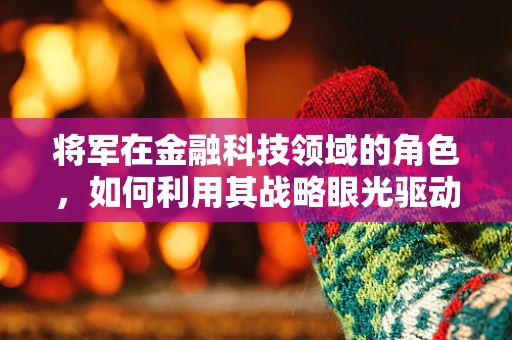 将军在金融科技领域的角色，如何利用其战略眼光驱动创新？