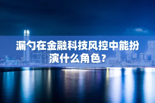 漏勺在金融科技风控中能扮演什么角色？