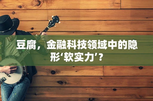 豆腐，金融科技领域中的隐形‘软实力’？