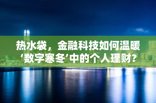 热水袋，金融科技如何温暖‘数字寒冬’中的个人理财？