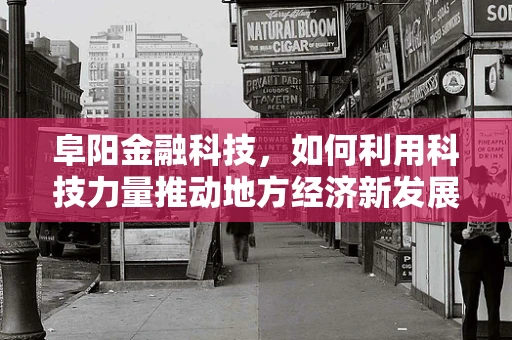 阜阳金融科技，如何利用科技力量推动地方经济新发展？
