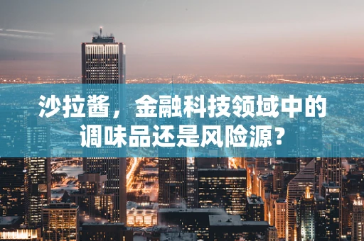 沙拉酱，金融科技领域中的调味品还是风险源？