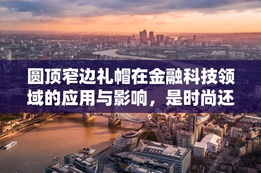 圆顶窄边礼帽在金融科技领域的应用与影响，是时尚还是功能？