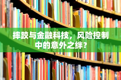 摔跤与金融科技，风险控制中的意外之绊？