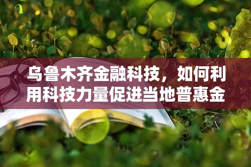 乌鲁木齐金融科技，如何利用科技力量促进当地普惠金融发展？