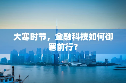 大寒时节，金融科技如何御寒前行？