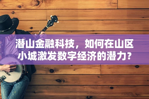 潜山金融科技，如何在山区小城激发数字经济的潜力？