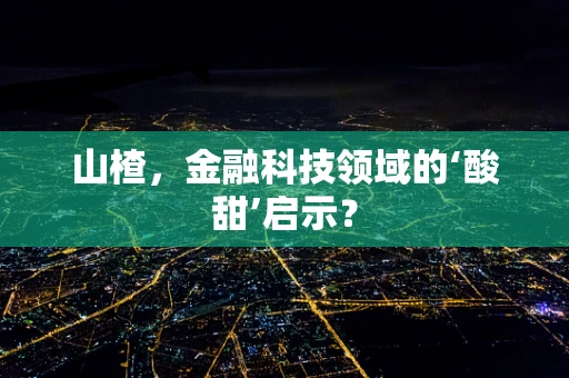 山楂，金融科技领域的‘酸甜’启示？