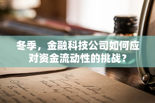 冬季，金融科技公司如何应对资金流动性的挑战？