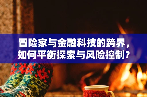 冒险家与金融科技的跨界，如何平衡探索与风险控制？