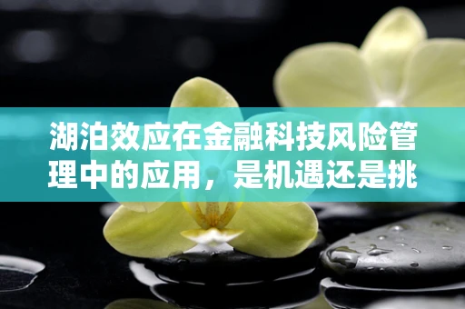 湖泊效应在金融科技风险管理中的应用，是机遇还是挑战？