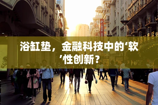 浴缸垫，金融科技中的‘软’性创新？