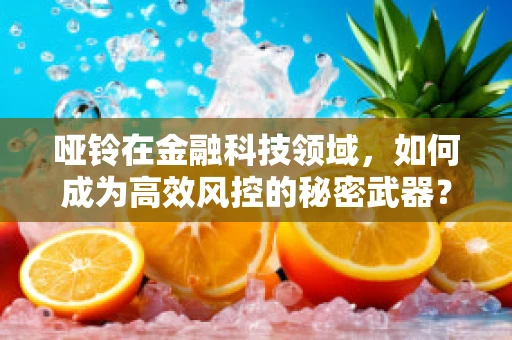 哑铃在金融科技领域，如何成为高效风控的秘密武器？