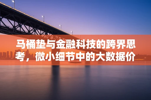 马桶垫与金融科技的跨界思考，微小细节中的大数据价值
