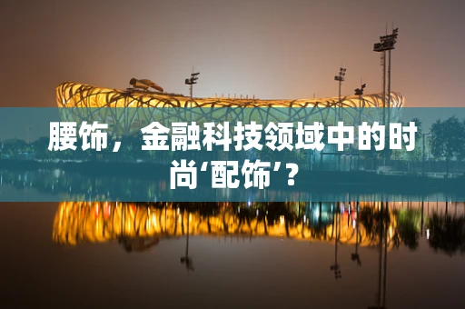 腰饰，金融科技领域中的时尚‘配饰’？
