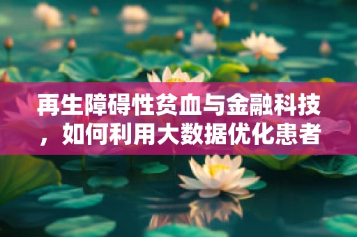 再生障碍性贫血与金融科技，如何利用大数据优化患者融资渠道？